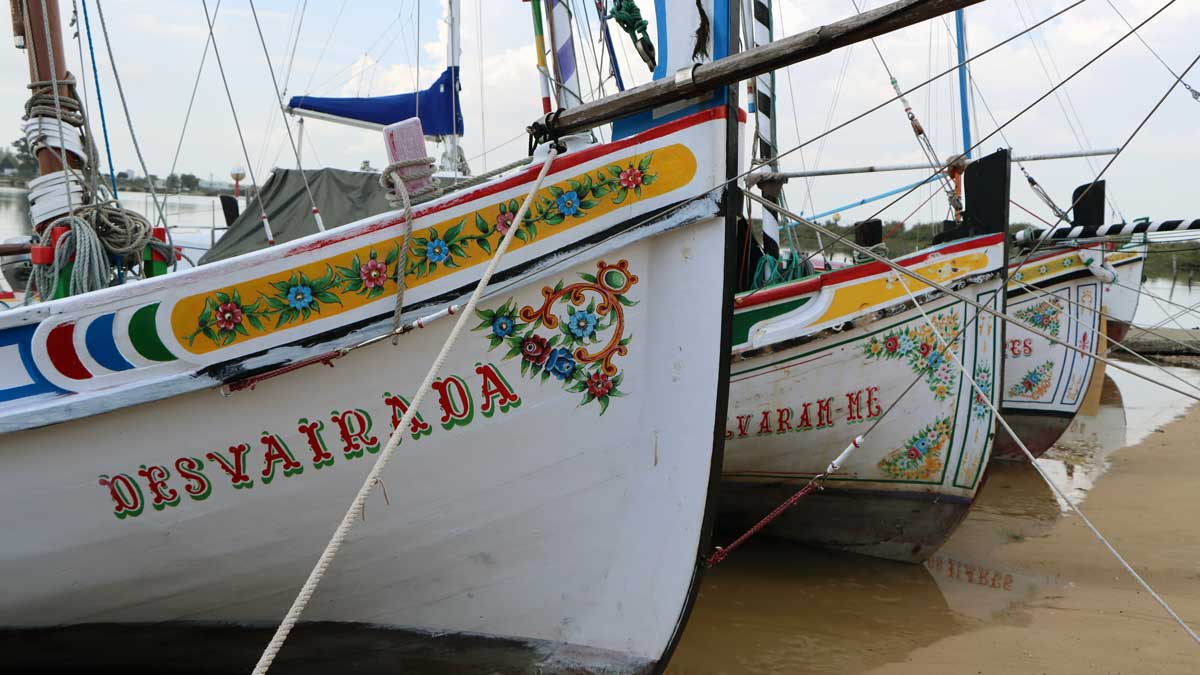 Desvairada