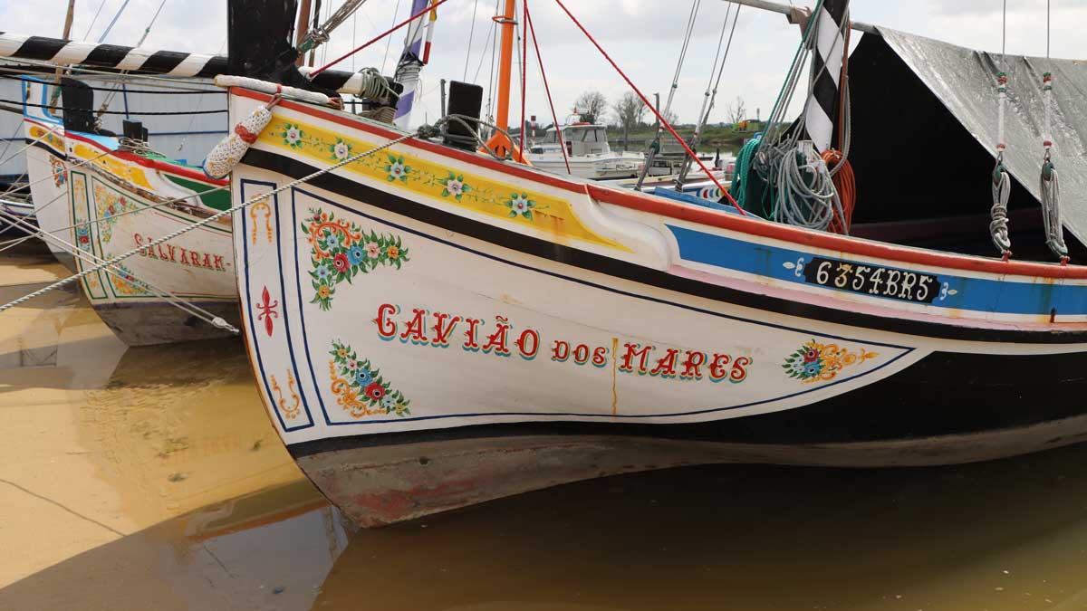 Gavião dos Mares